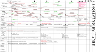 Child Development Chart